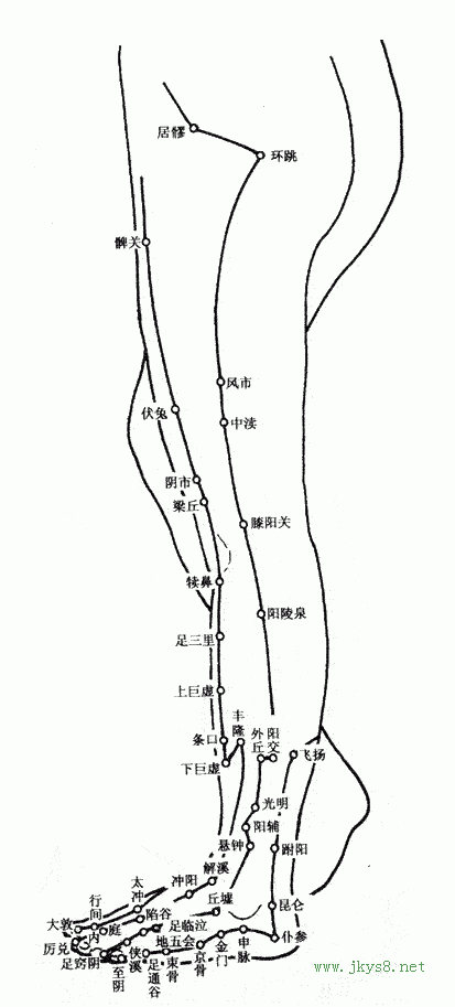 下肢穴位