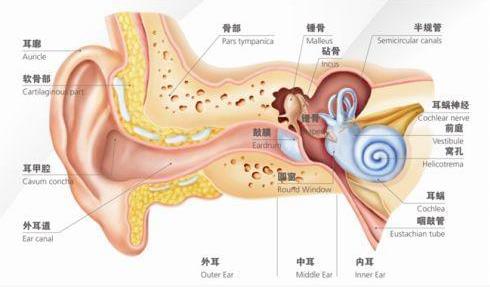 刺啦！聽(tīng)到了粉筆劃過(guò)黑板的聲音 為什么會(huì)讓你抓狂？