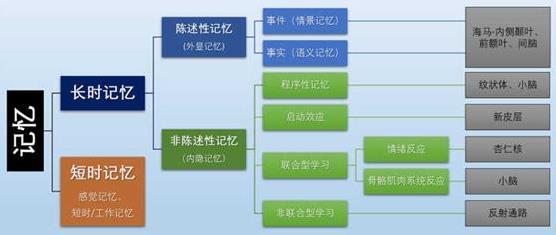 為什么你不記得嬰幼兒時(shí)期發(fā)生的事情？記憶會一直保留到離開人世嗎