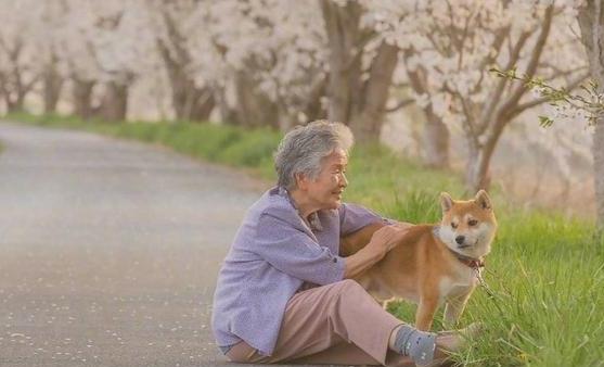 老年人適當(dāng)進(jìn)行娛樂活動 更加有助老年人身心健康