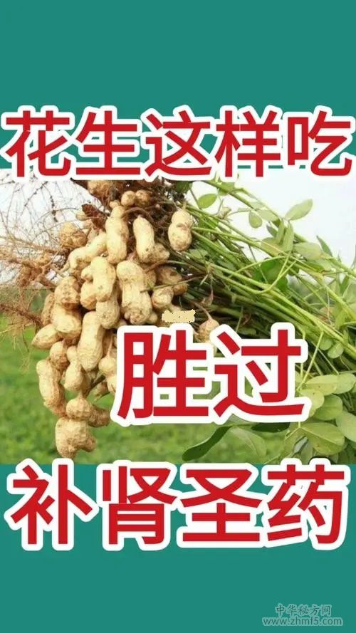 吃花生可以補腎嗎？怎么吃效果更好？