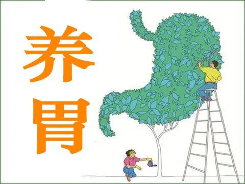 喝粥可以養(yǎng)胃嗎？ 常見養(yǎng)胃的六個(gè)誤區(qū)