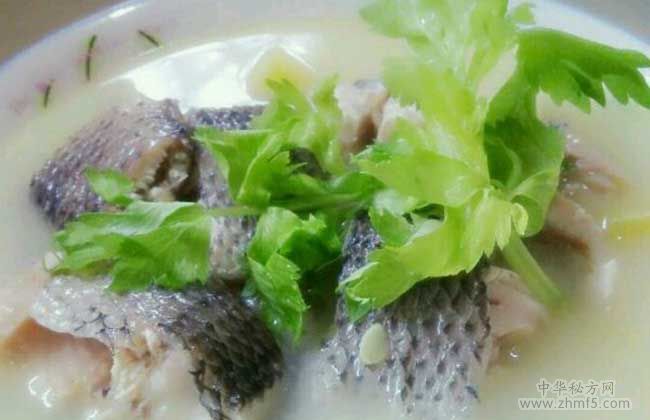 黑魚(yú)孕婦到底能不能吃