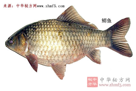 鯽魚，四類人要少吃