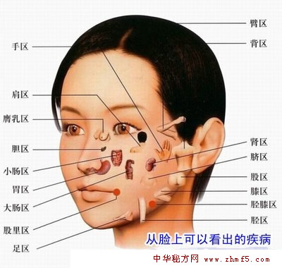 面部反射區(qū)