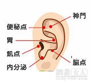 耳朵穴位圖