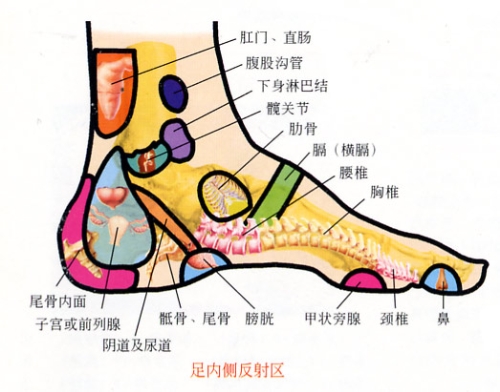 鼻炎足部按摩