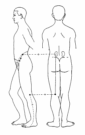 腎氣足，百病除