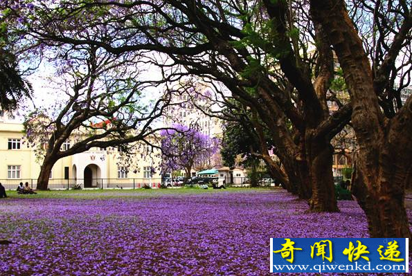 津巴布韋風景