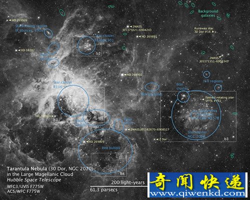 哈勃捕捉到蜘蛛星云中心“星爆” 數(shù)百萬個年輕恒星組成