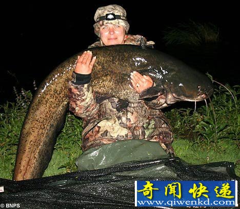 [圖文]英國婦女釣上“巨無霸”鯰魚 重66磅