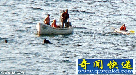 [圖文]英國(guó)游客在海上被七只姥鯊包圍 氣氛變得格外緊張