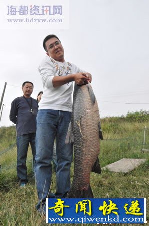 [圖文]福建泉州男子釣起23公斤重八九歲巨型青魚