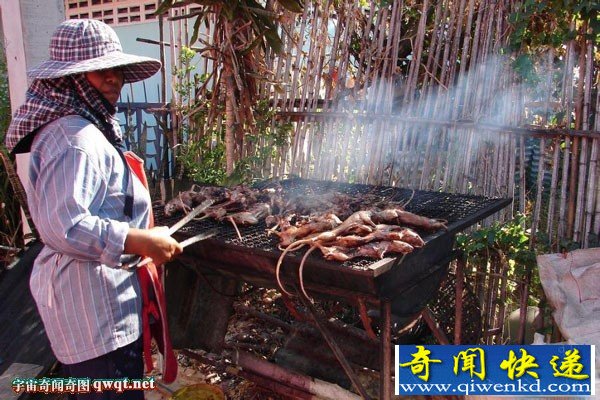 重口味！秘魯飼養(yǎng)老鼠來烤肉吃