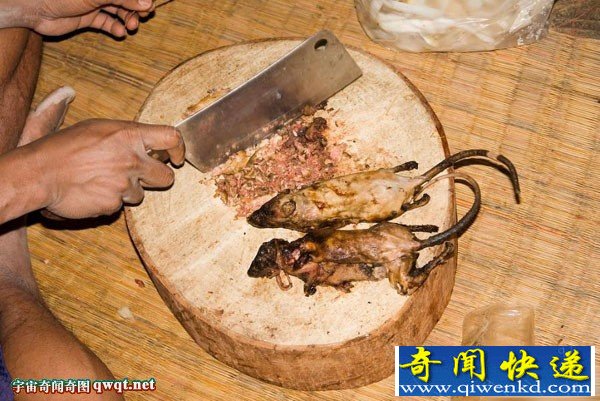 重口味！秘魯飼養(yǎng)老鼠來烤肉吃