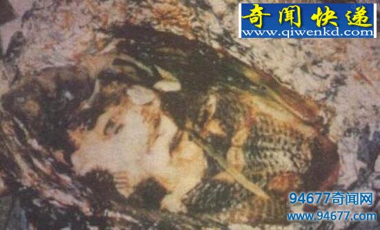 揭秘臺灣人面魚真實面目，人面魚竟如此恐怖