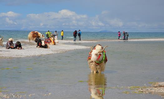 去西藏旅游 高原反應頭疼的應對方法