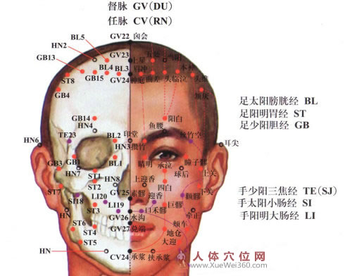 按穴治?。侯^面部穴位