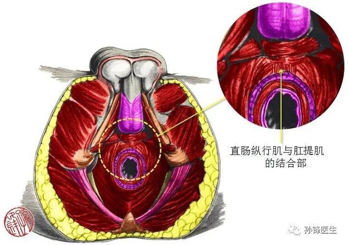 女性私處的秘密是什么？八個(gè)女人陰道的秘密