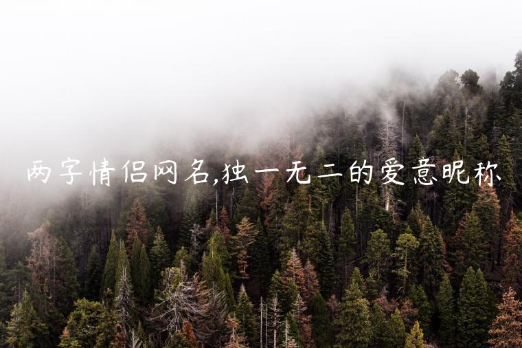 兩字情侶網(wǎng)名,獨(dú)一無(wú)二的愛(ài)意昵稱