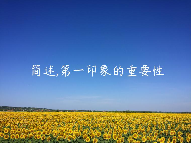 簡(jiǎn)述,第一印象的重要性