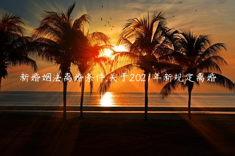 新婚姻法離婚條件,關(guān)于2021年新規(guī)定離婚