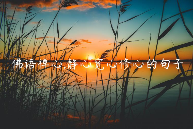 佛語(yǔ)禪心,靜心寬心修心的句子