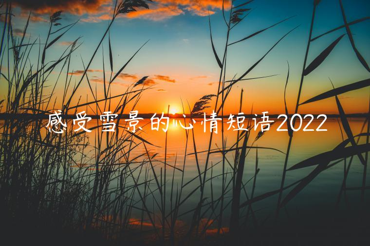 感受雪景的心情短語2022