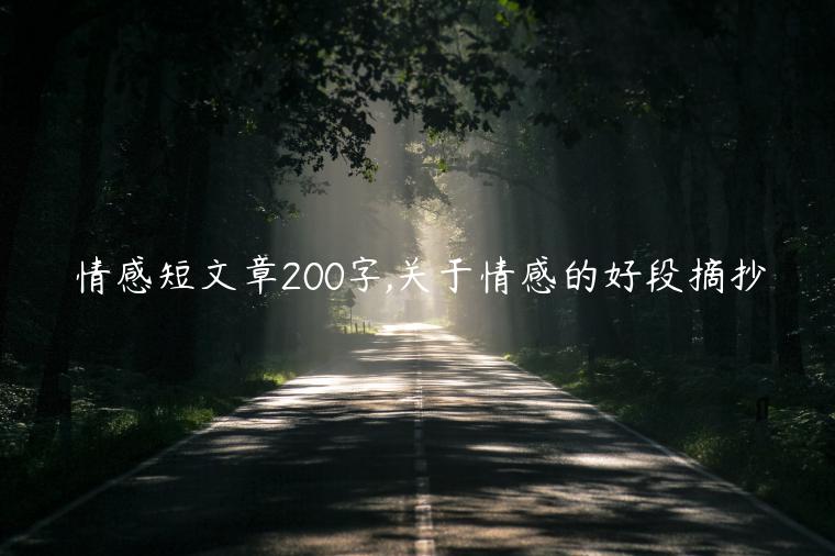 情感短文章200字,關于情感的好段摘抄