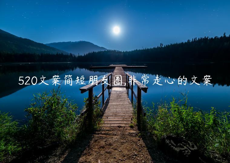 520文案簡(jiǎn)短朋友圈,非常走心的文案