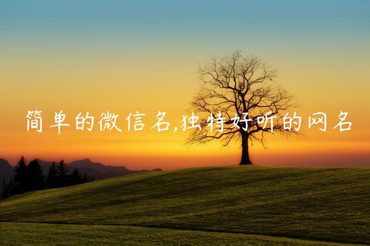 簡(jiǎn)單的微信名,獨(dú)特好聽的網(wǎng)名