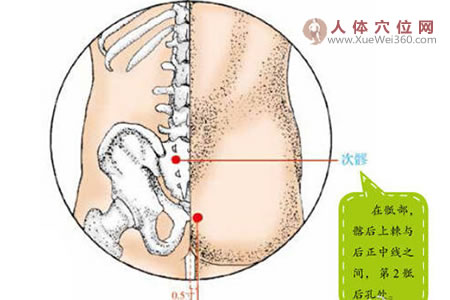 次髎穴