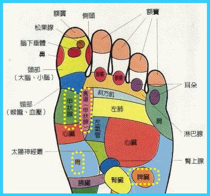 按摩腳底穴位反射區(qū)療效好不好？