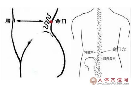 命門穴