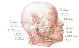 面部神經(jīng)炎