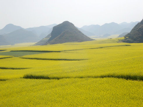 做好春季養(yǎng)生，一年四季才好過(guò)！