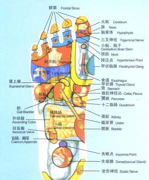 腳底穴位真的養(yǎng)生效果這么好嗎