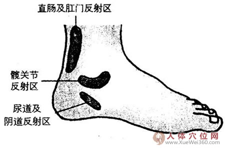 何必舍近求遠(yuǎn)，治泌尿系統(tǒng)病的藥就長(zhǎng)在腳上