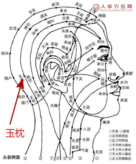 玉枕穴的功效和作用