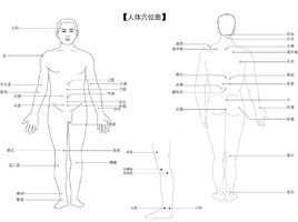 拔火罐穴位圖
