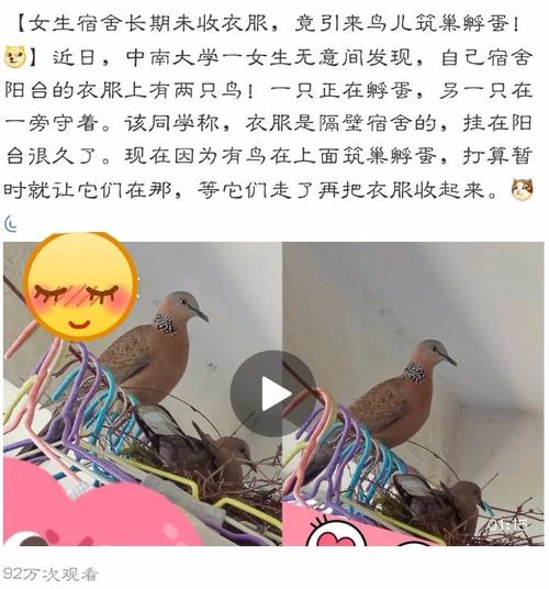 為什么女生喜歡吃男生的小鳥？