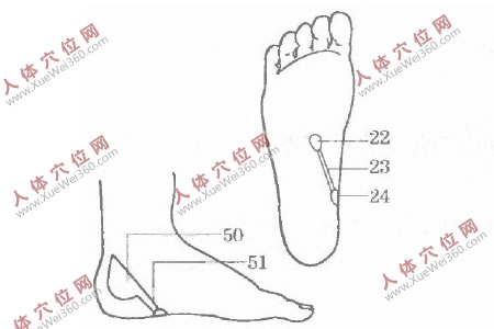 堅(jiān)持手腳穴位按摩可很快治愈尿失禁