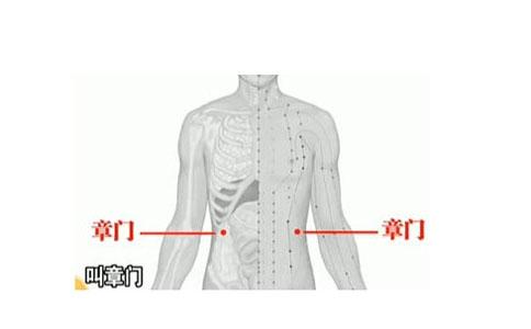 章門的準(zhǔn)確位置圖和作用(章門的準(zhǔn)確位置圖和作用及功效)