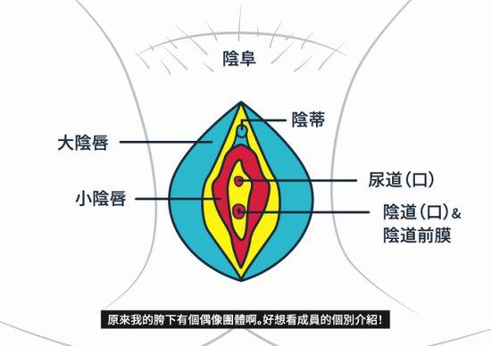 女性私密處的專業(yè)知識(shí)是多少？詳細(xì)介紹了女性隱私的基本知識(shí)