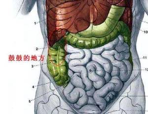 盲腸炎癥狀,盲腸炎癥狀疼痛位置