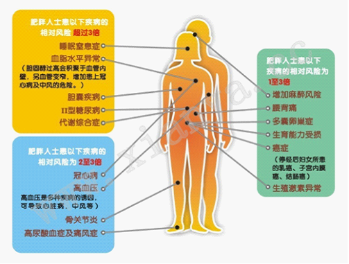 纖雅減肥膠囊官網(wǎng)_纖雅減肥訓練營