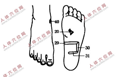 堅(jiān)持手腳穴位按摩可治好過敏性腸炎