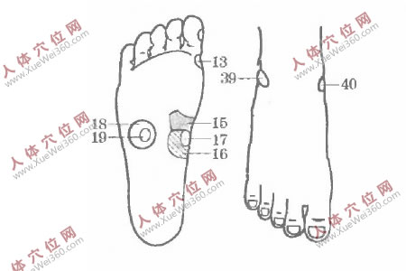 我用手腳穴位按摩法為老伴治糖尿病療效很好