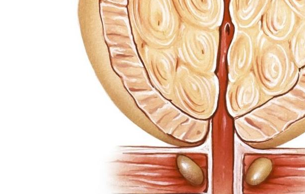 臨床前列腺癌的副作用-臨床前列腺癌的副作用有哪些