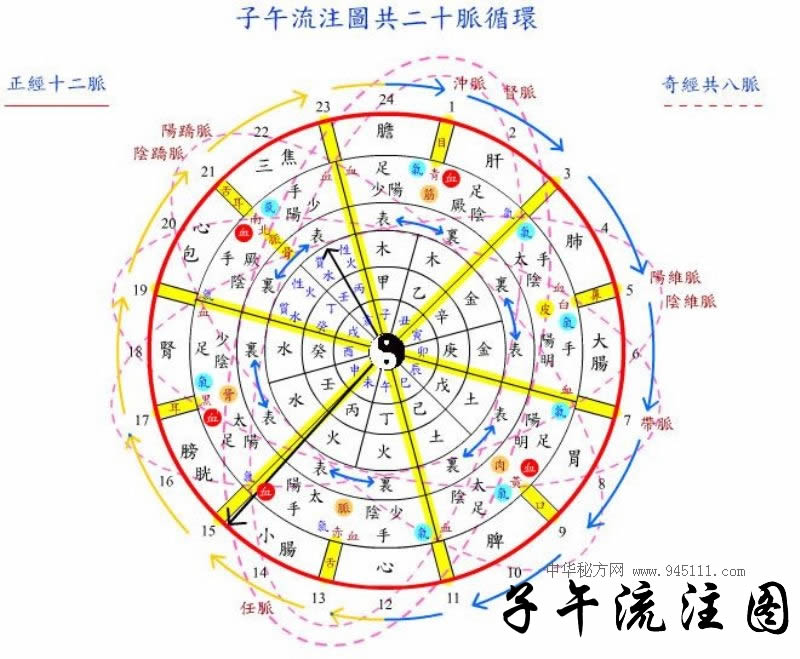 子午流注圖-共二十脈循環(huán)【養(yǎng)生工具】一個(gè)非常實(shí)用的八卦 時(shí)辰 經(jīng)絡(luò)時(shí)鐘